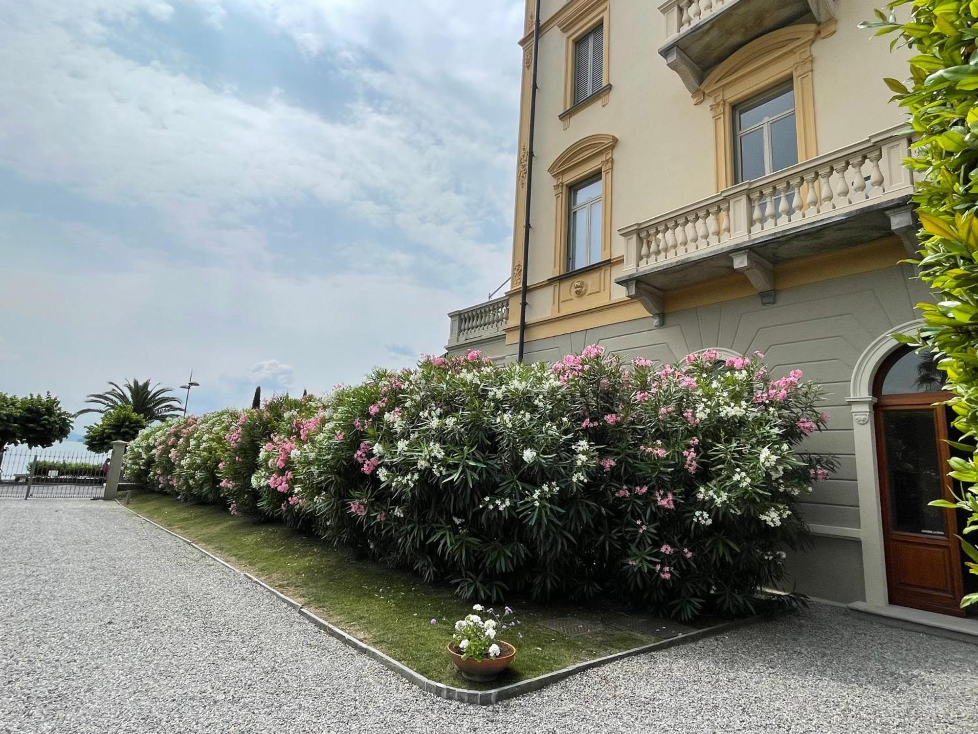 Апартаменты Residenza Victoria Менаджо Экстерьер фото